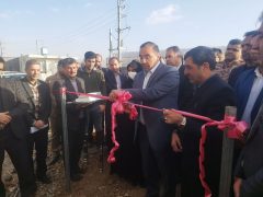 افتتاح چهار واحد گلخانه در مهران